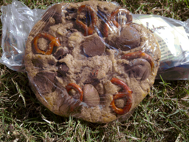 Image:The magic Lotusphere 2012 Pretzel Cookie