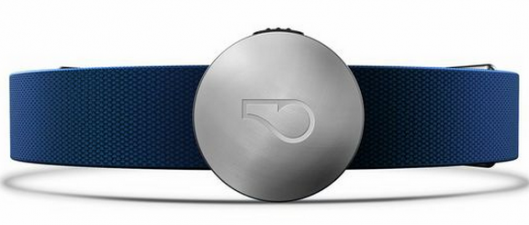 Whistle Activity Monitor for Dogs